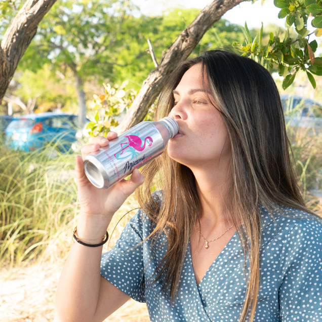 473 ML SPRING WATER 24PK