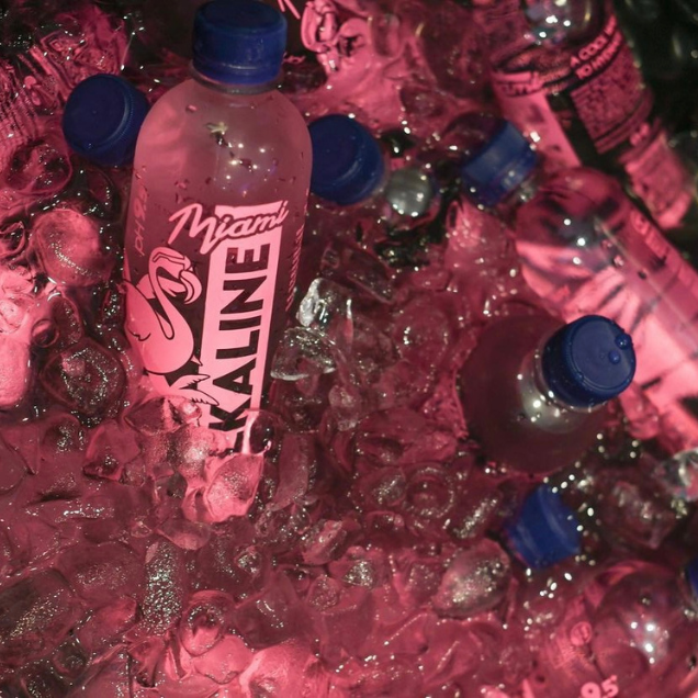 500 ML ALKALINE WATER 24PK