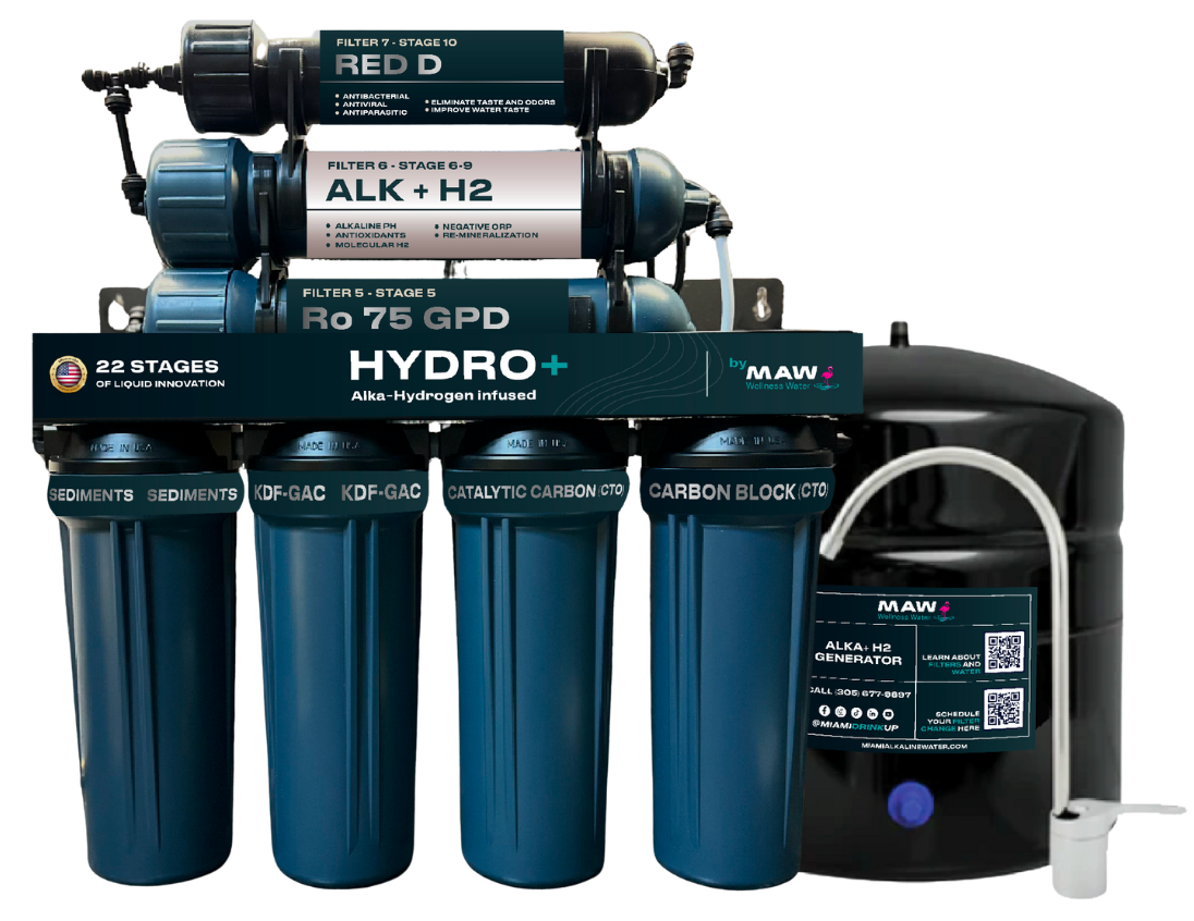 HYDROGEN DRINKING SYSTEM