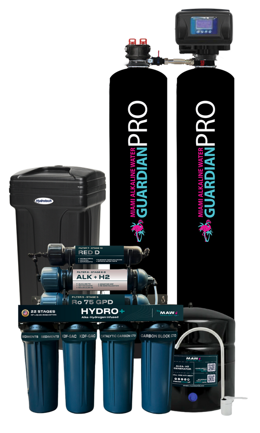 WHOLE HOUSE PURIFICATION SYSTEM