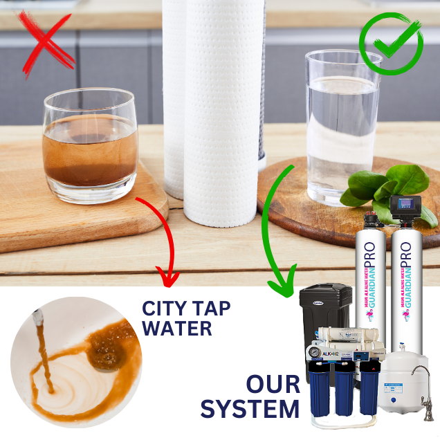 WHOLE HOUSE PURIFICATION SYSTEM